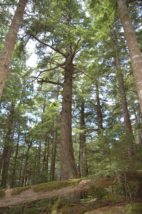 Kanutrip Naturreservat Sporting Lake_63